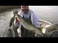 Southern Indiana Musky