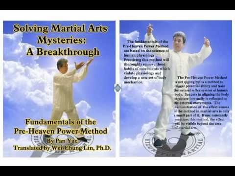 發勁发劲Yizungyue - This video shows the advanced fajin (fajing) exercises described in Sections 4.2 and 4.3 of the book