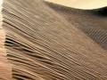 A tribute to the Sahara: http://tinyurl.com/dgpac6