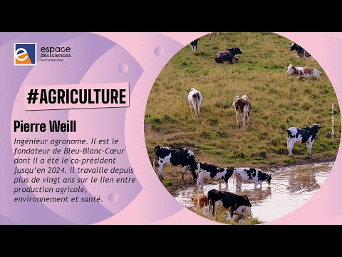 Image de prévisualisation YouTube