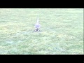 Nokia N8 rocket launch