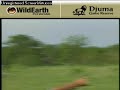 Sunrise drive 113007-4