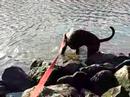 Naru in the  water