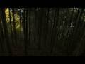 interior/exterior video