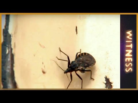 AlJazeeraEnglish - It is deadly, it is spreading quickly and most of the world has never heard of it. Chagas, a parasitic disease is spread by the vinchucas bug bite. In rural ...
