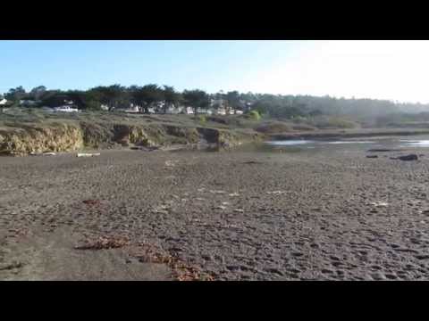 Video for Santa Rosa Creek Beach