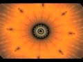 Esoteric Agenda sub spanish (parte 12)