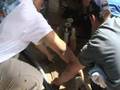 Detail King Auto Detailing Hands On Training Seminar -April