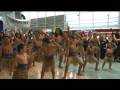 Auckland Arrival