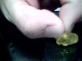 videos de Lemon Gummy Rape