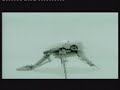 Autechre - Second Bad Vibel Autechre - Second Bad Vibel
