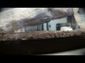 Cinema 2.0: Bug Snuff Film\ Cinema 2.0: Bug Snuff Film\