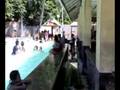 videos de Badiang Spring, Valencia Bohol Part2