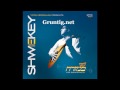 Brand New Form Yaakov Shwekey ~ Libi Bemizrach