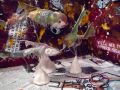 Film 14.wmv