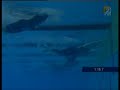 otylia 200m butterfly world record