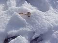 videos de Snowman Tragedy in Idaho