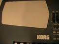 nurettinbulut korg pa500