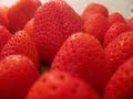How to:  Freeze Strawberry's