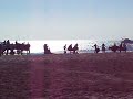 quelques passe tirées au loin par Juan Bautista ou Matias Tejela. tout en contre-jour sur la plage des Saintes-Maries de la Mer le 4 nov 2007. Grandiose