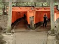 Puti is being crazy in Fushimi Inari