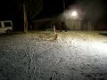 Ski on home made snow
