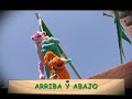 LOS PIMPOLLOS - Arriba y Abajo