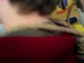 ruská ?kola jiráskova 2007 ruská ?kola jiráskova 2007