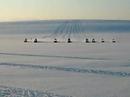 Snowscooters v-formation