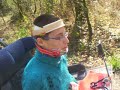 balade foret avec ouafs