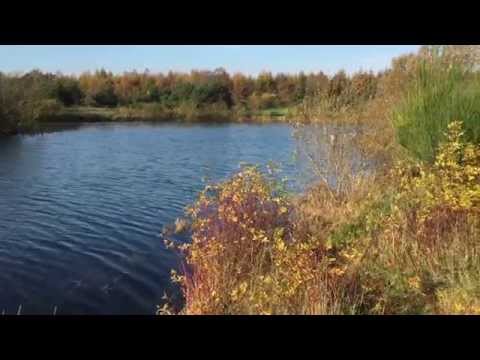 YouTube-forhåndsvisningsbillede
