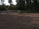 paras poni.

muutamas kuvas ponin omistaja ja yhes luukas. toivottavast tykk��tte.
ps, youtube raiskas ;(