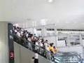 ワンダーフェスティバル動画2
