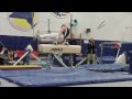 Joseph Pommel Horse Slow Motion
