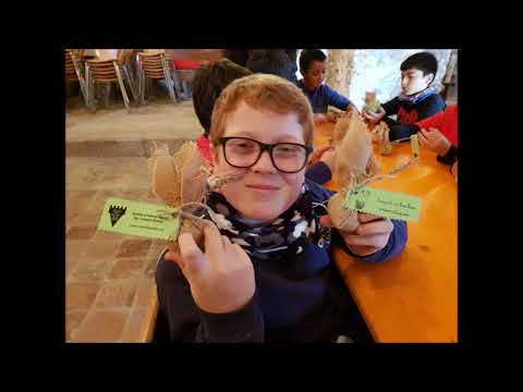 Imatge de previsualització de YouTube