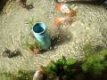 videos de MOV08924.MPG