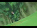 ShikaTema