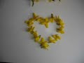 ganz sch�n feist  niemand