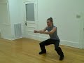 Baji Basics - 8 Strikes - #2 (Chan Si Beng Chui - ????) Baji Basics - 8 Strikes - #2 (Chan Si Beng Chui - ????)