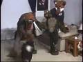 Subservient Cessna and Spunky - Part 1