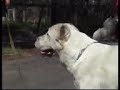 Spec06_openF.WMV