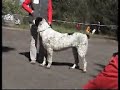 Spec06_openF.WMV