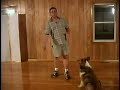 Dog Training - Stay (www.AmazingDogTrainingMan.com)