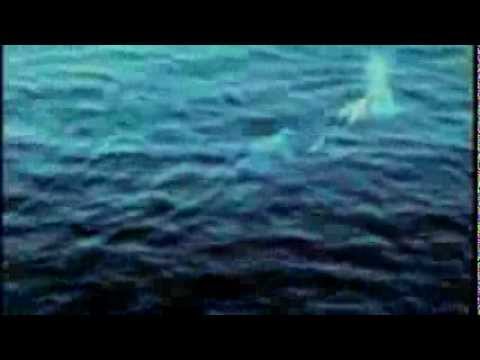 Teen Daze - 'Treten'