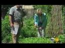 homegrown revolution    subtitulado 