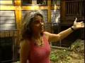 eco house wttw chicago