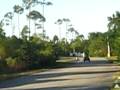 videos de MVI 0210