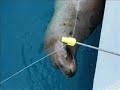 Experiance @ Mystic Aquarium in Connecticut!!