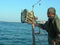 Barbunya Balık Avı