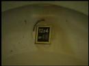 My school (oneminutefilm made by a child)